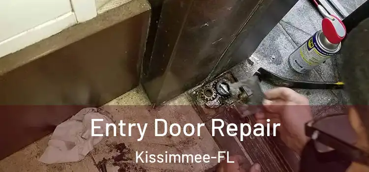 Entry Door Repair Kissimmee-FL